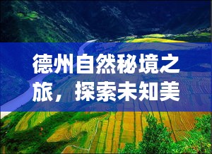 德州自然秘境之旅，探尋未知美景，心靈寧靜之旅（最新新聞預(yù)熱）