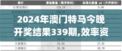 2024年澳門特馬今晚開獎結果339期,效率資料解釋定義_復刻款69.739-6