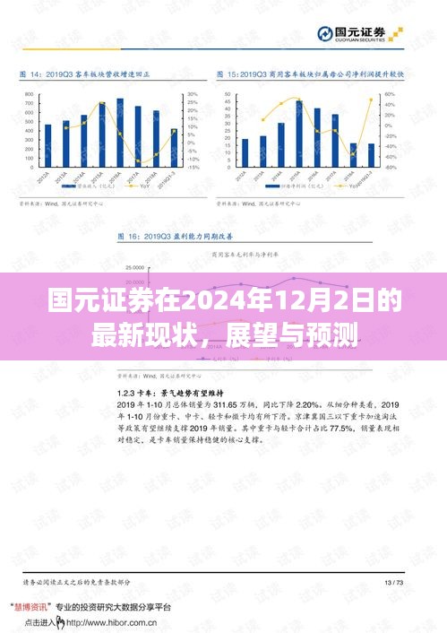 國(guó)元證券最新現(xiàn)狀、展望與預(yù)測(cè)（2024年12月2日）