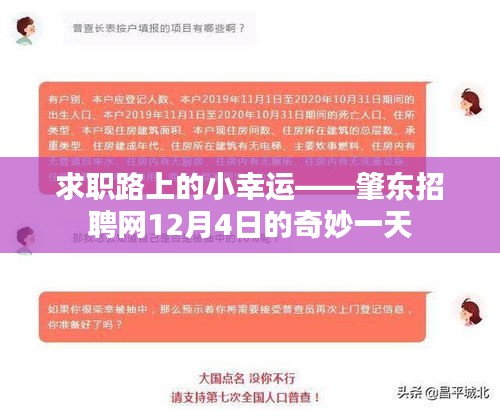 求職路上的幸運(yùn)之旅，肇東招聘網(wǎng)12月4日紀(jì)實(shí)