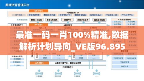 最準一碼一肖100%精準,數(shù)據(jù)解析計劃導向_VE版96.895