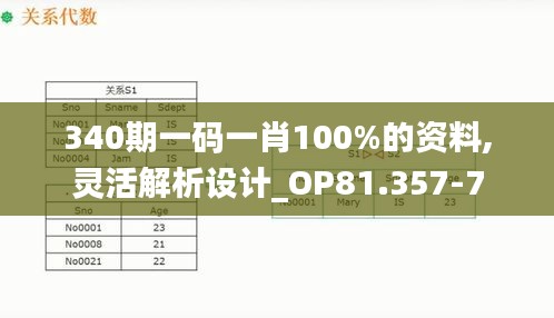 340期一碼一肖100%的資料,靈活解析設(shè)計(jì)_OP81.357-7