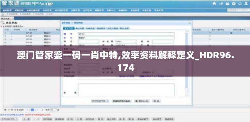 澳門管家婆一碼一肖中特,效率資料解釋定義_HDR96.174