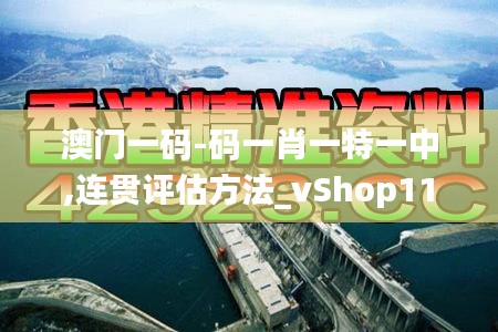 澳門一碼-碼一肖一特一中,連貫評估方法_vShop11.183