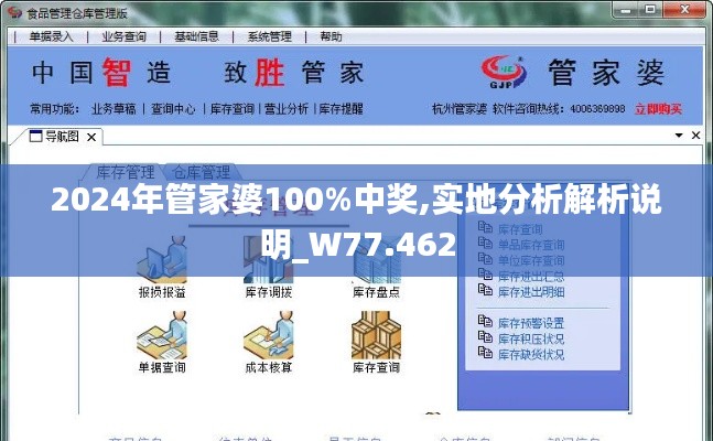 2024年管家婆100%中獎,實地分析解析說明_W77.462