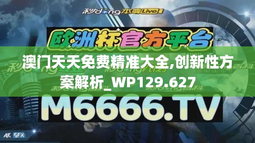 澳門天天免費(fèi)精準(zhǔn)大全,創(chuàng)新性方案解析_WP129.627