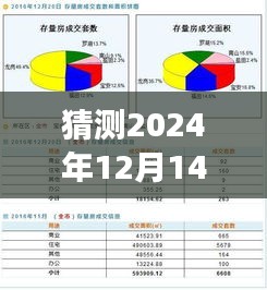 猜測(cè)2024年12月14日新澳2024天天正版資料大全：信息準(zhǔn)確性的終極追求