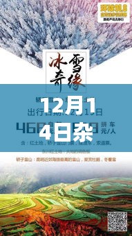 跟隨自然之聲，心靈之旅啟程——12月14日雜志獨家呈現