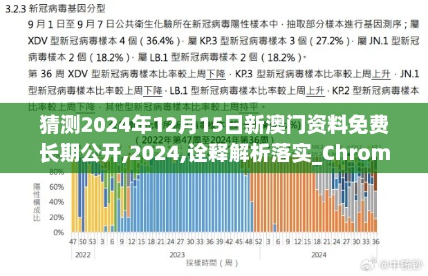 猜測(cè)2024年12月15日新澳門資料免費(fèi)長期公開,2024,詮釋解析落實(shí)_ChromeOS10.993