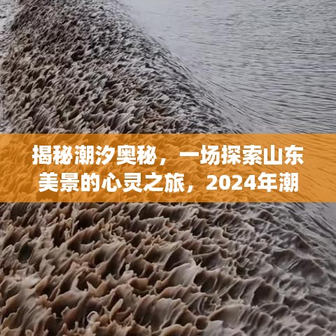 揭秘潮汐奧秘，啟程山東美景探索之旅，2024年潮汐表預(yù)測與冒險計劃啟動