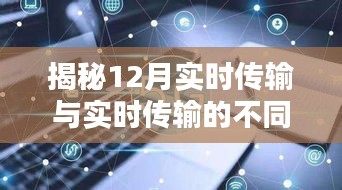 2024年12月15日 第12頁