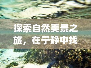 自然探索之旅，疫情下的心靈寧靜與自我找尋的奇妙旅程