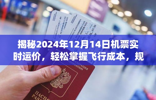 揭秘2024年12月14日機票實時運價，飛行成本一目了然，旅行預(yù)算輕松規(guī)劃！