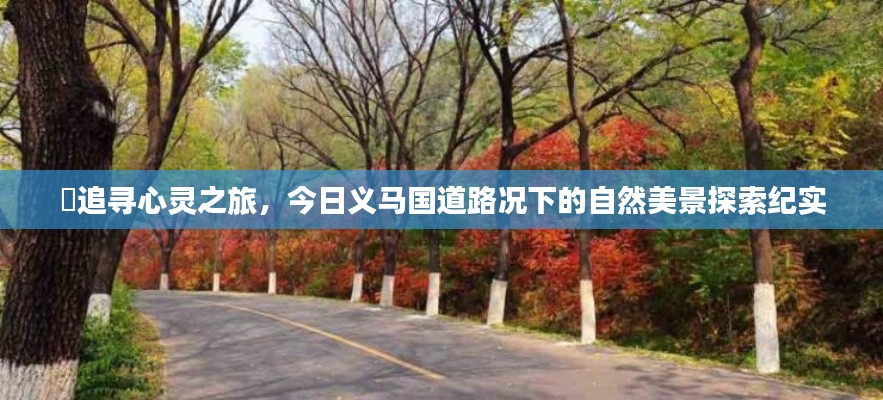 追尋心靈之旅，義馬國(guó)道路況下的自然美景探索之旅