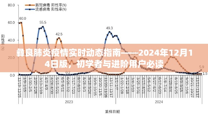 彝良肺炎疫情實時動態(tài)指南（初學者與進階用戶必讀）——2024年12月版