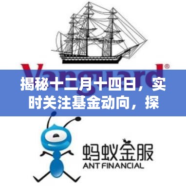 揭秘十二月十四日基金動向，探尋投資領域新紀元開啟時刻