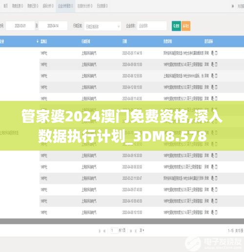 管家婆2024澳門免費(fèi)資格,深入數(shù)據(jù)執(zhí)行計劃_3DM8.578