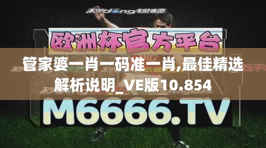 管家婆一肖一碼準(zhǔn)一肖,最佳精選解析說明_VE版10.854