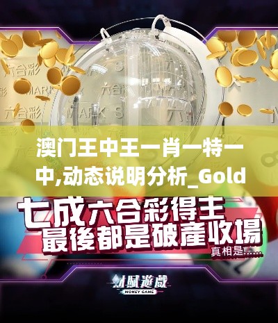 澳門王中王一肖一特一中,動態(tài)說明分析_Gold2.561