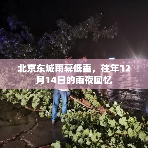 北京東城雨夜回憶，雨幕低垂的往年印象