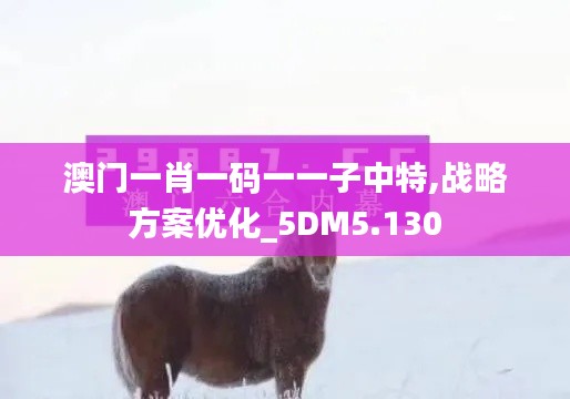 澳門一肖一碼一一子中特,戰(zhàn)略方案優(yōu)化_5DM5.130