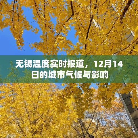 無錫氣候?qū)崟r(shí)更新，12月14日氣溫變化及城市影響分析