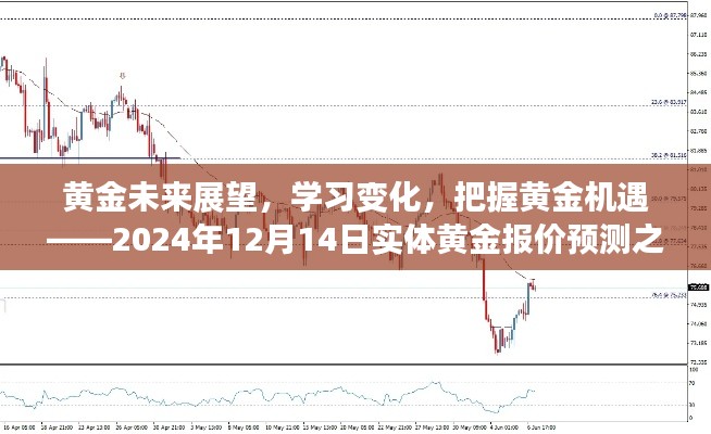 黃金未來展望與機(jī)遇，實(shí)體黃金報(bào)價(jià)預(yù)測(cè)之旅（2024年12月14日）