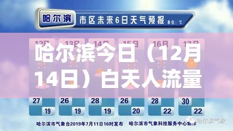 2024年12月17日 第28頁(yè)