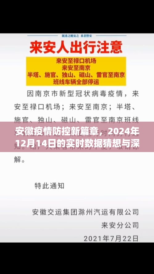 安徽疫情防控新篇章，實(shí)時數(shù)據(jù)猜想與深度洞察報告（2024年12月14日）