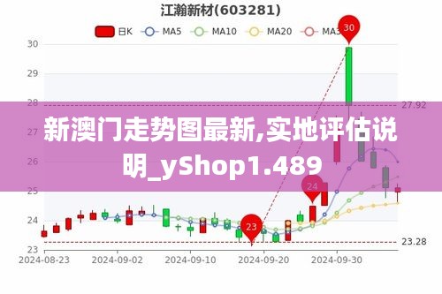 新澳門走勢圖最新,實(shí)地評估說明_yShop1.489