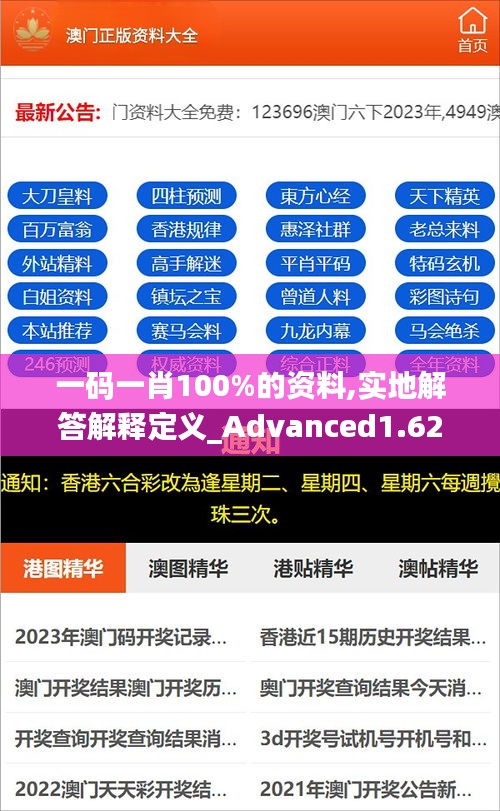 一碼一肖100%的資料,實地解答解釋定義_Advanced1.626