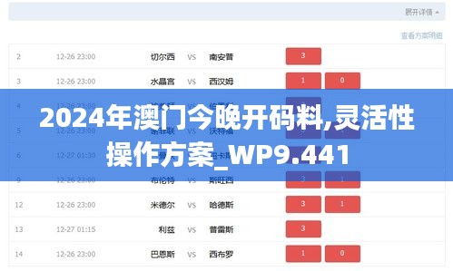 2024年澳門今晚開碼料,靈活性操作方案_WP9.441