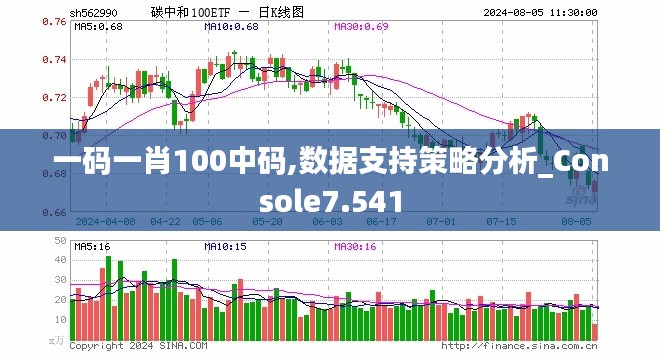 一碼一肖100中碼,數(shù)據(jù)支持策略分析_Console7.541