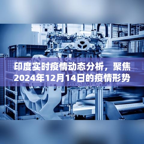 印度實時疫情動態(tài)分析，聚焦未來至2024年疫情形勢與個人觀點觀察