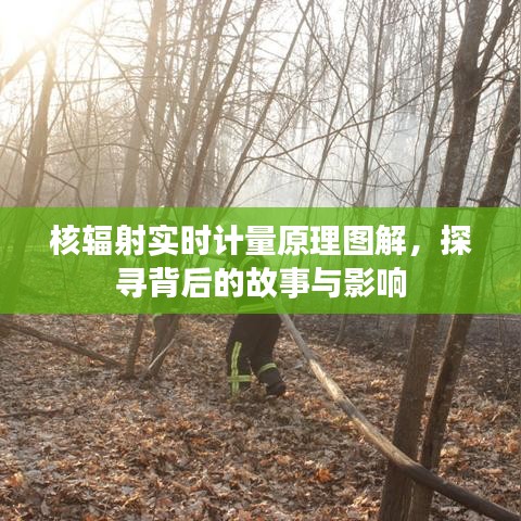 圖解核輻射實時計量原理，探尋背后的故事與深遠(yuǎn)影響