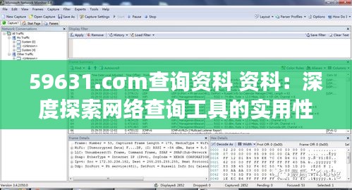 59631.cσm查詢資科 資科：深度探索網(wǎng)絡(luò)查詢工具的實(shí)用性與效率