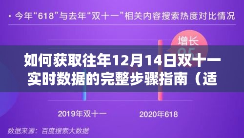 如何獲取往年12月14日雙十一實(shí)時(shí)數(shù)據(jù)的完整指南（初學(xué)者與進(jìn)階用戶適用）