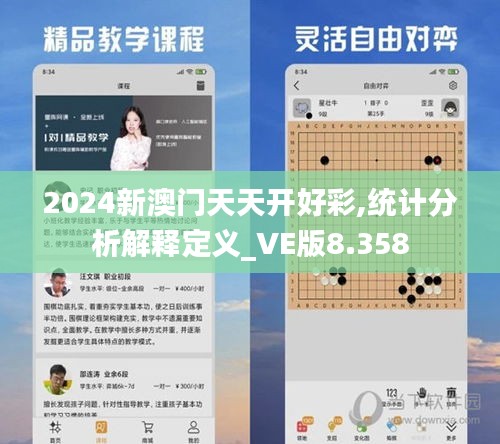 2024新澳門天天開好彩,統(tǒng)計(jì)分析解釋定義_VE版8.358