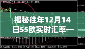 揭秘三大要點(diǎn)，往年12月14日55歐實時匯率深度解析