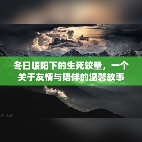 冬日暖陽下的生死考驗，友情與陪伴的感人故事