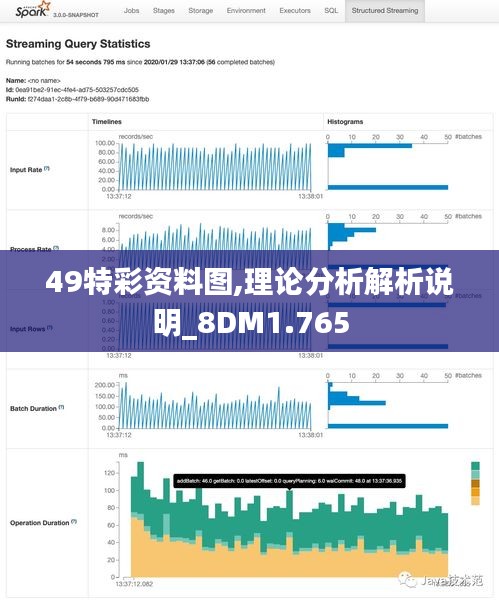 49特彩資料圖,理論分析解析說明_8DM1.765