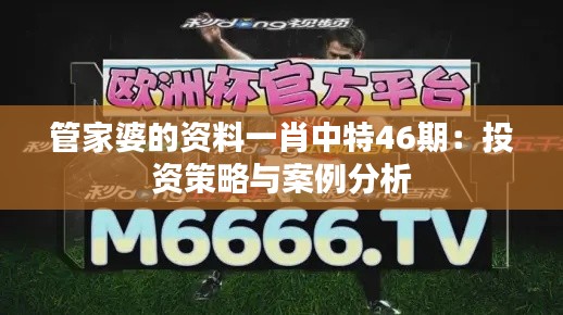 管家婆的資料一肖中特46期：投資策略與案例分析