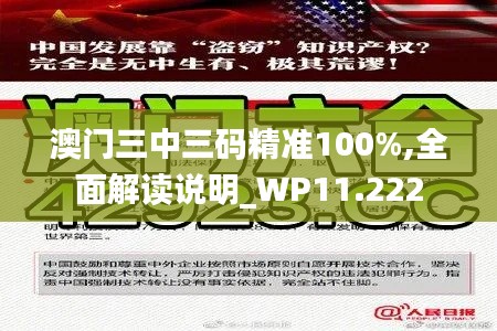 澳門三中三碼精準(zhǔn)100%,全面解讀說明_WP11.222