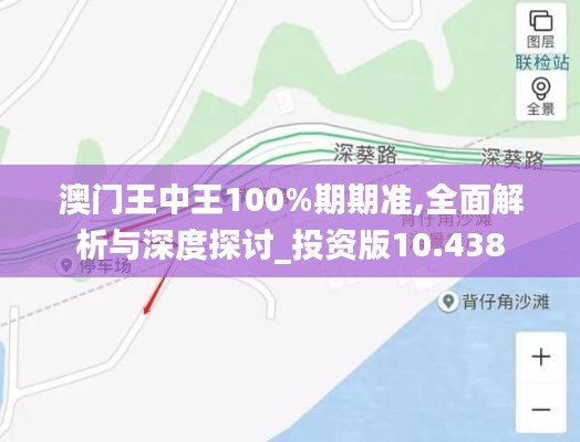 澳門(mén)王中王100%期期準(zhǔn),全面解析與深度探討_投資版10.438