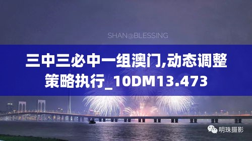 三中三必中一組澳門,動(dòng)態(tài)調(diào)整策略執(zhí)行_10DM13.473