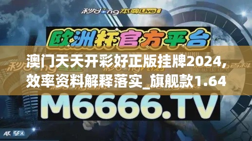 澳門天天開(kāi)彩好正版掛牌2024,效率資料解釋落實(shí)_旗艦款1.649