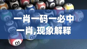 一肖一碼一必中一肖,現(xiàn)象解釋管理_bundle7.666