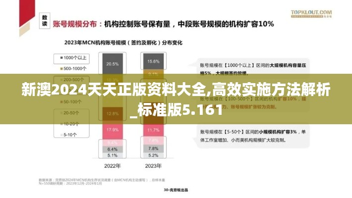 新澳2024天天正版資料大全,高效實施方法解析_標準版5.161