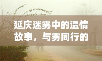 延慶迷霧中的溫情與歡樂時光