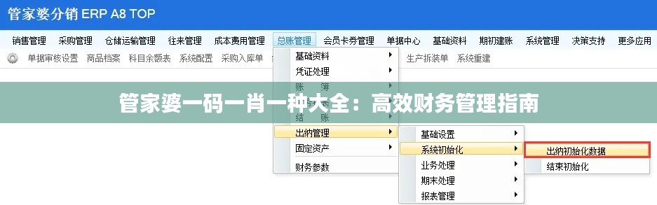 管家婆一碼一肖一種大全：高效財務(wù)管理指南